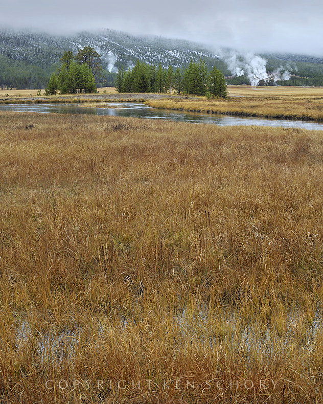 Gibbon Meadow, Yellowstone National Park, Wyoming